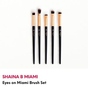 NEW 5pc eyeshadow brush set